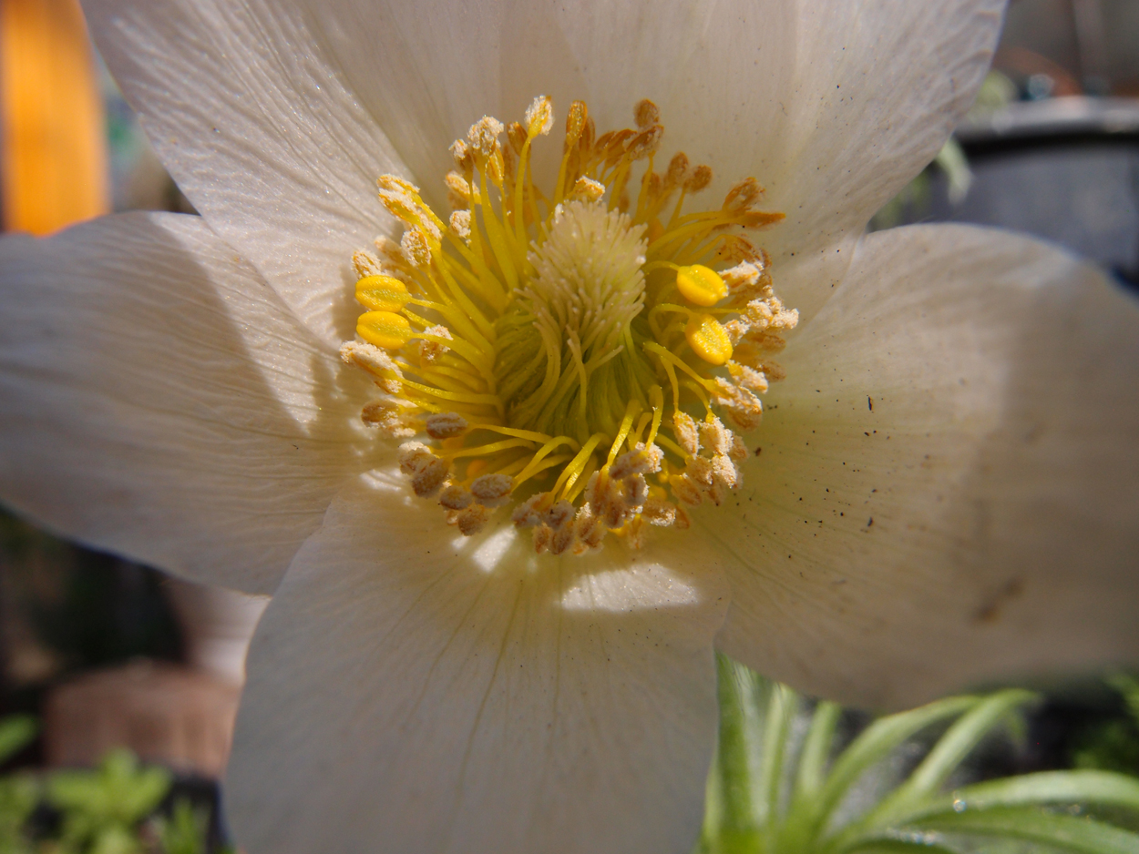 2019-04-24 wendel - der Garten